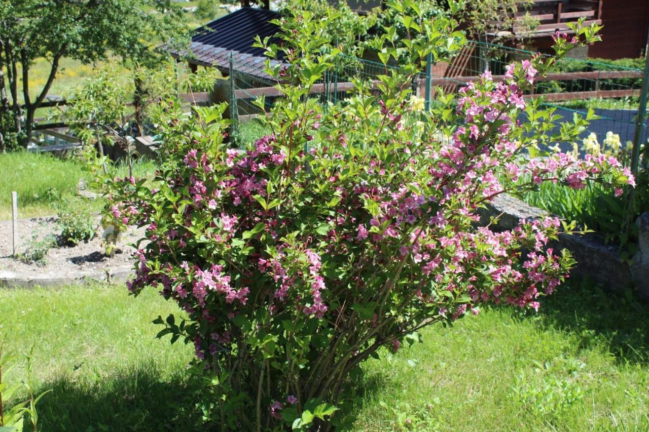 Casa Per Ferie Beatorosaz Ξενοδοχείο Cesana Torinese Εξωτερικό φωτογραφία